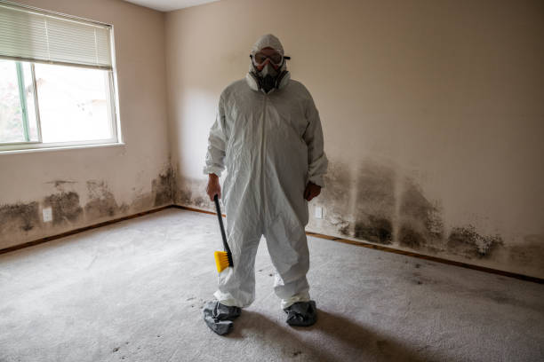 Asbestos and Lead Testing During Mold Inspection in Porter Heights, TX